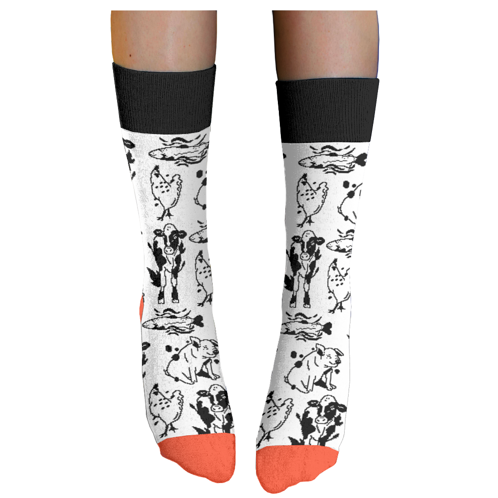 The Humane League socks 2