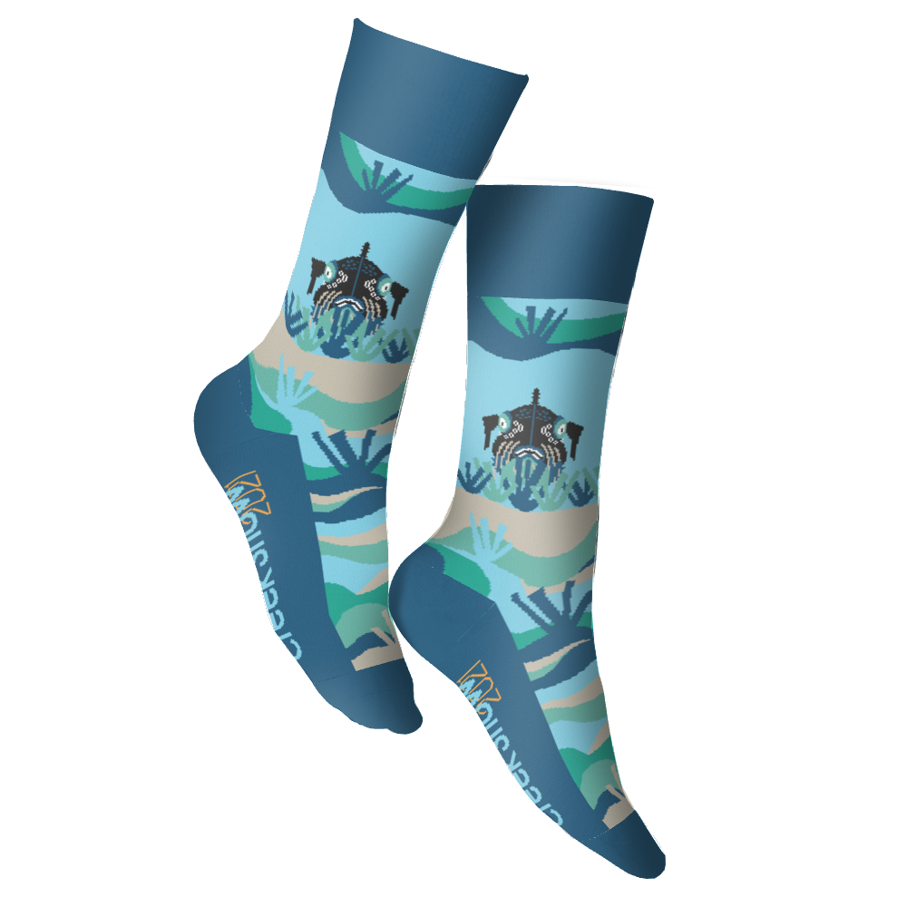 Waterloo Greenway Creek Show socks 3