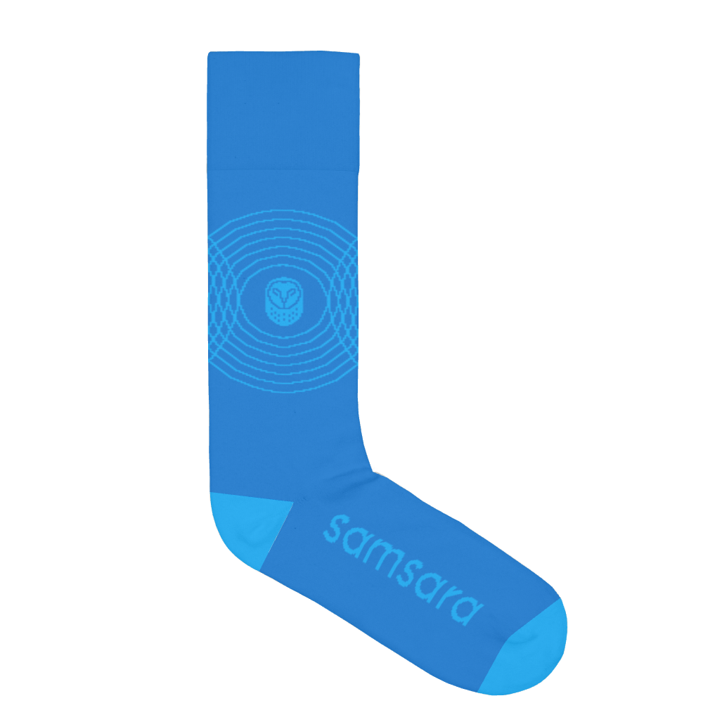 Samsara Networks socks 1