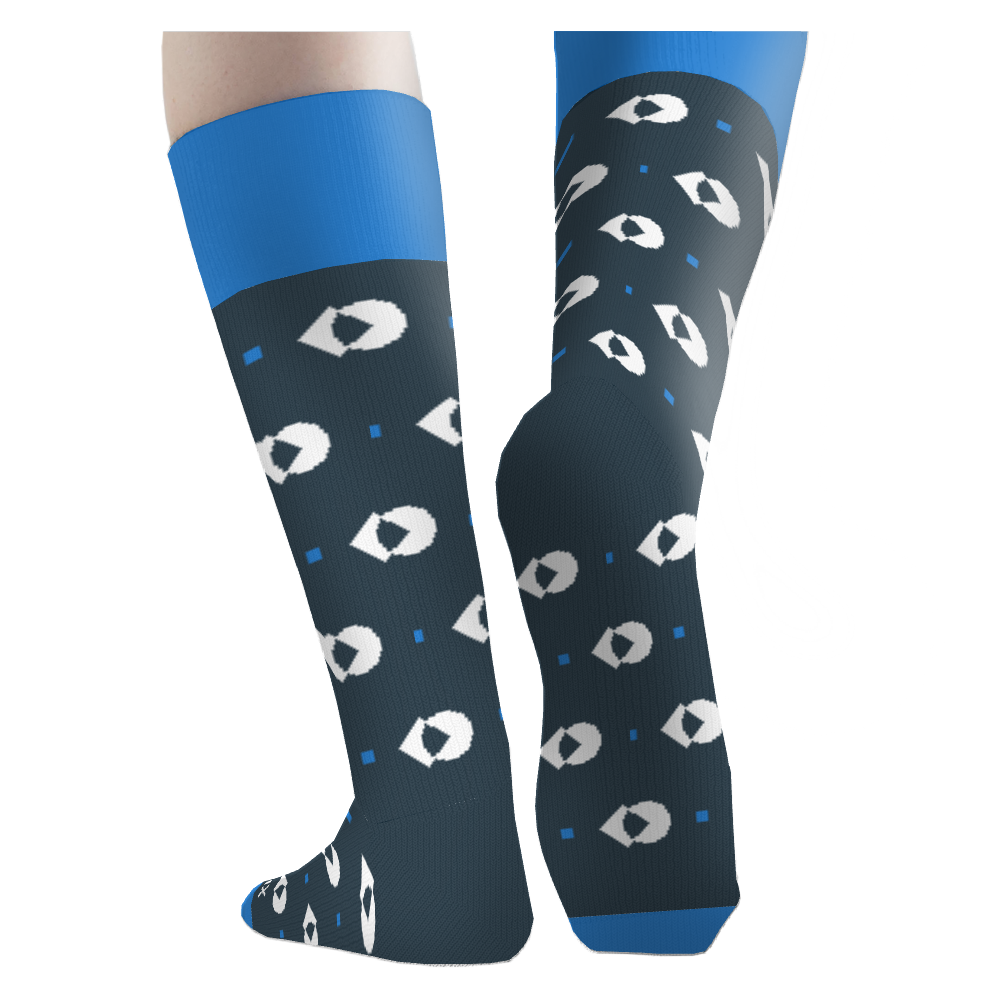 LeanIX socks 4