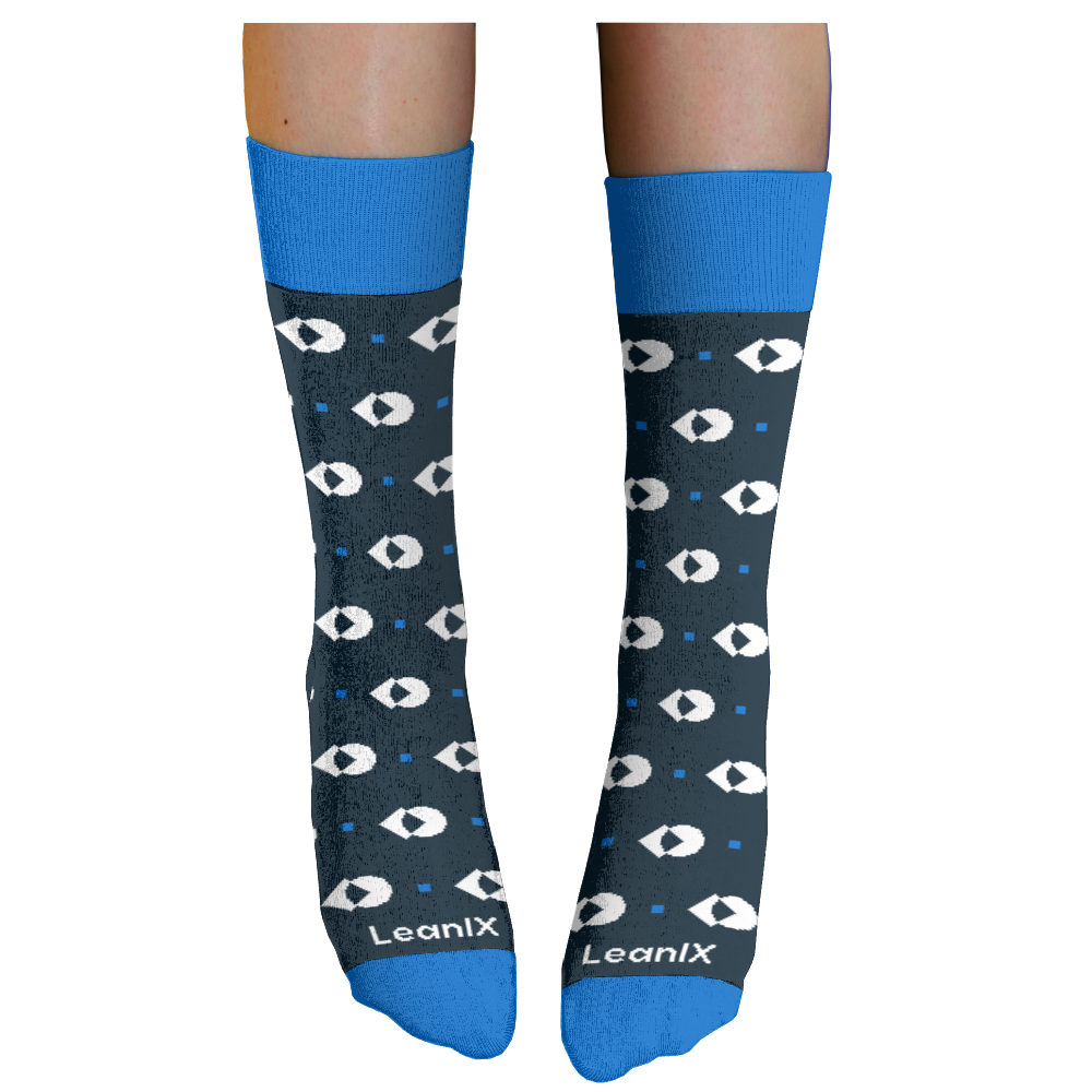 LeanIX socks 2