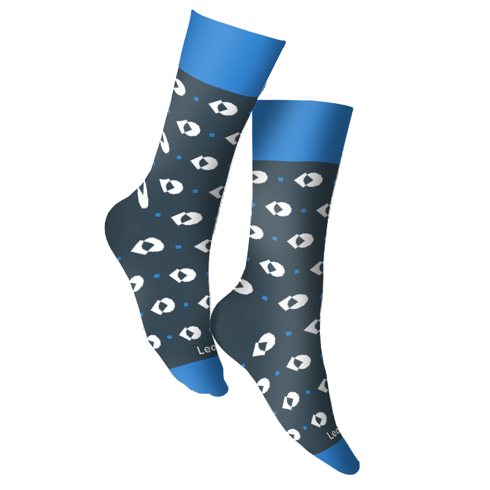 LeanIX socks 3