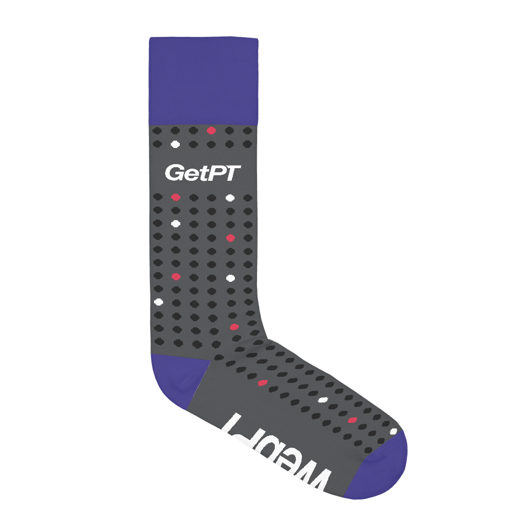 WebPT socks 1