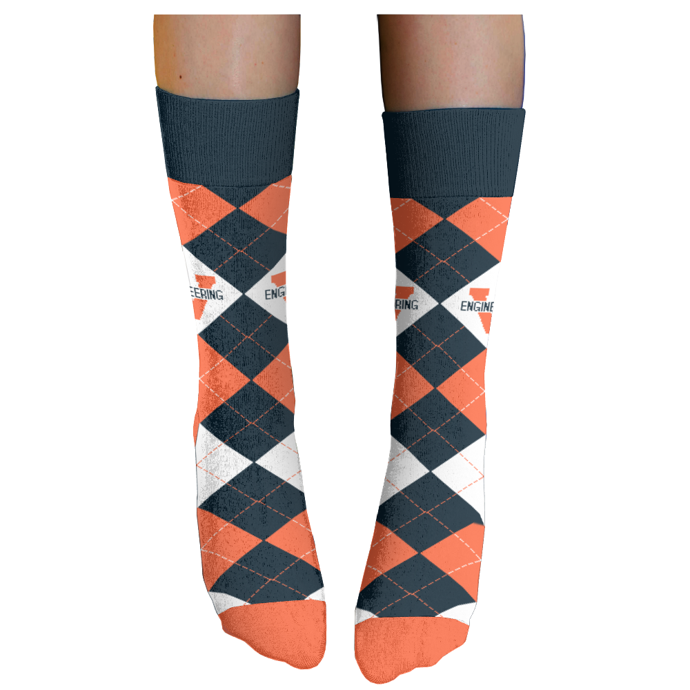 University of Virginia Bookstore socks 2