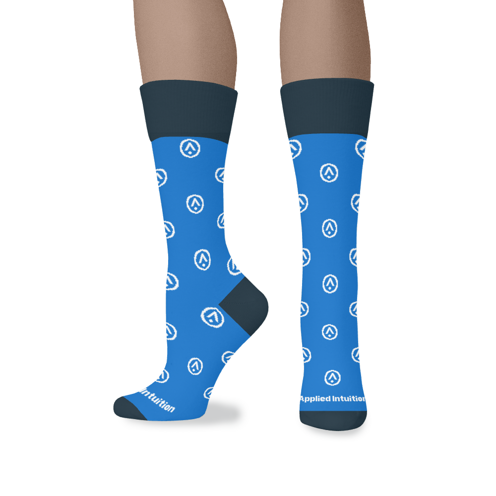 Applied Intuition socks 3