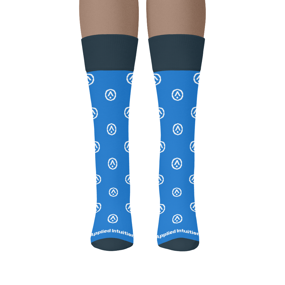 Applied Intuition socks 2