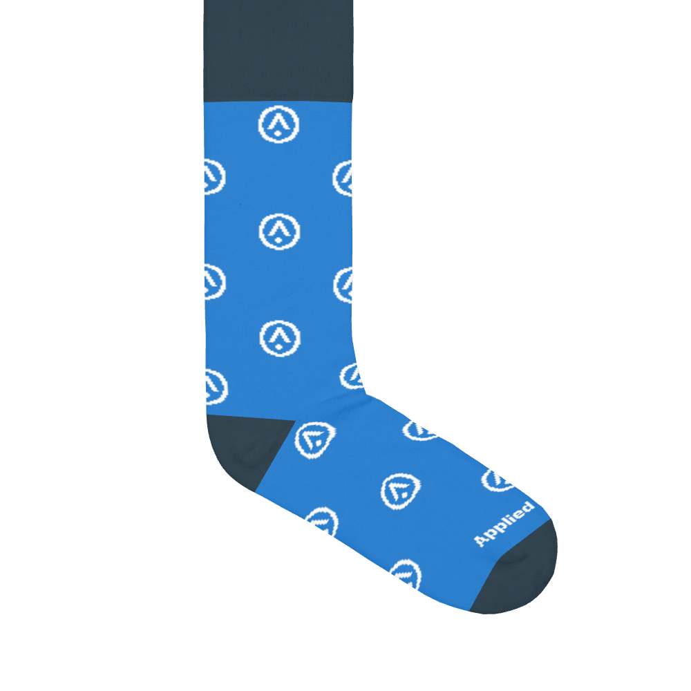 Applied Intuition socks 1