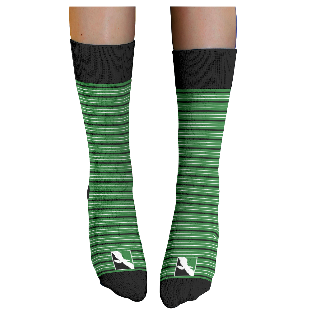 The Bank of Missouri socks 2
