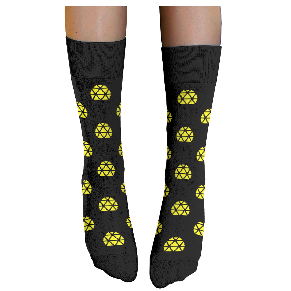 Science World socks 2