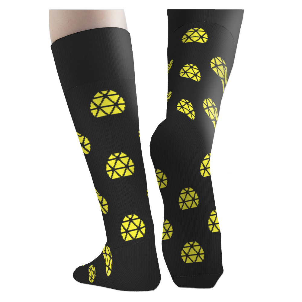 Science World socks 4