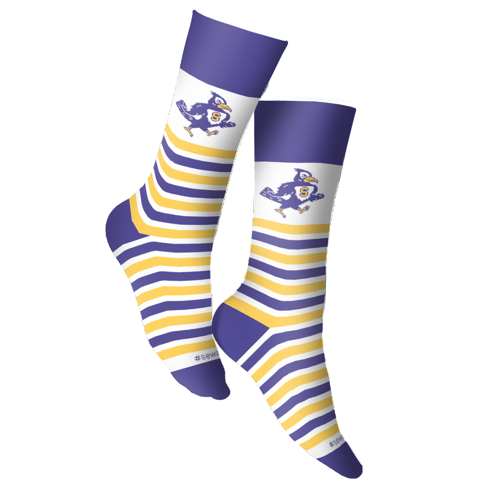 Sewardschools socks 3