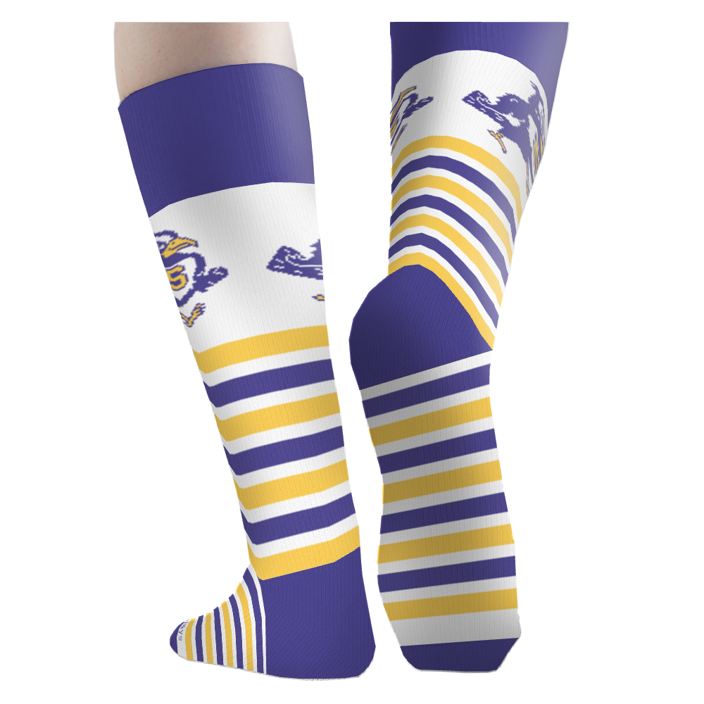 Sewardschools socks 4