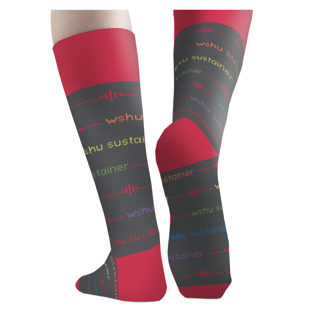 WSHU socks 4