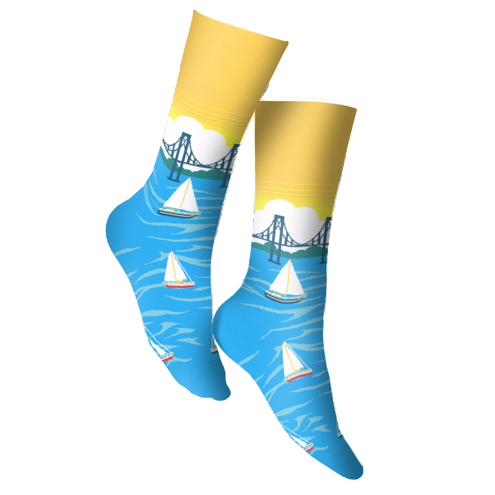 The Preservation Society of Newport County socks 3