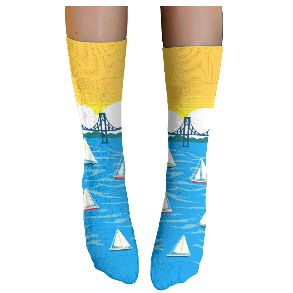 The Preservation Society of Newport County socks 2