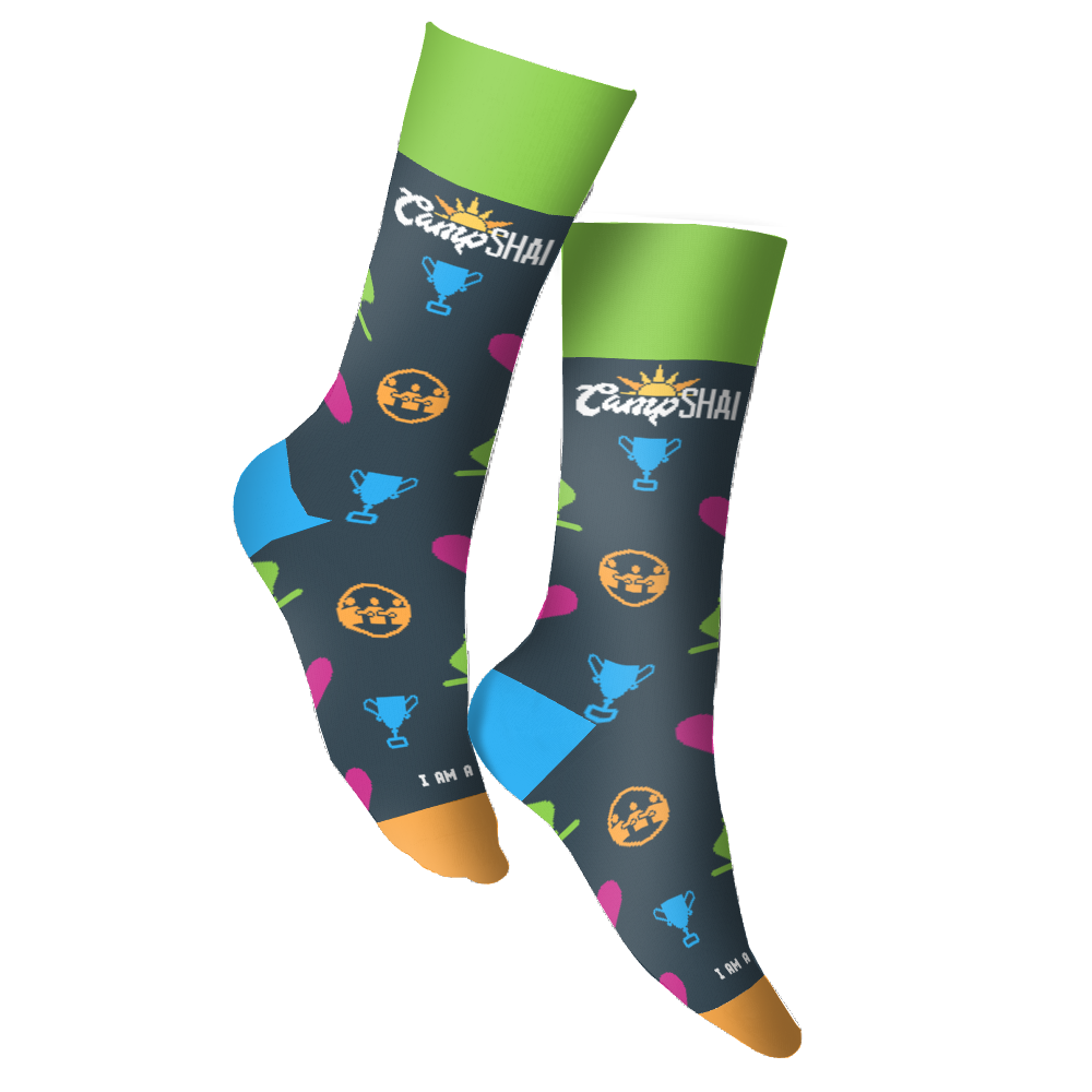Robert E. Loup Jewish Community Center socks 3