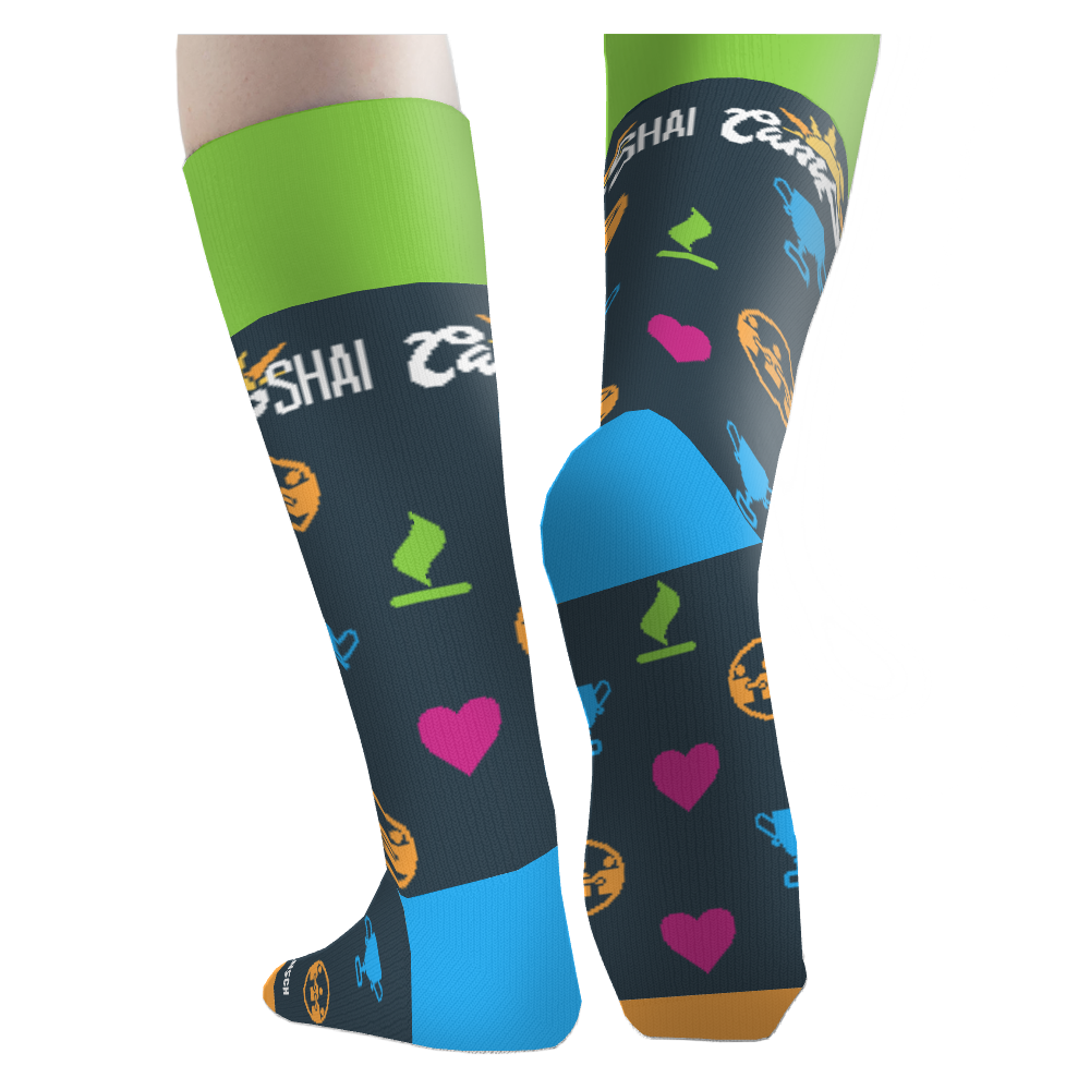 Robert E. Loup Jewish Community Center socks 4