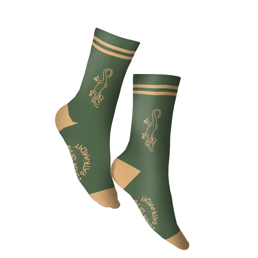 Buffering the Vampire Slayer socks 3