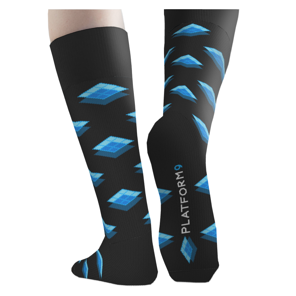 Platform9 Systems socks 4
