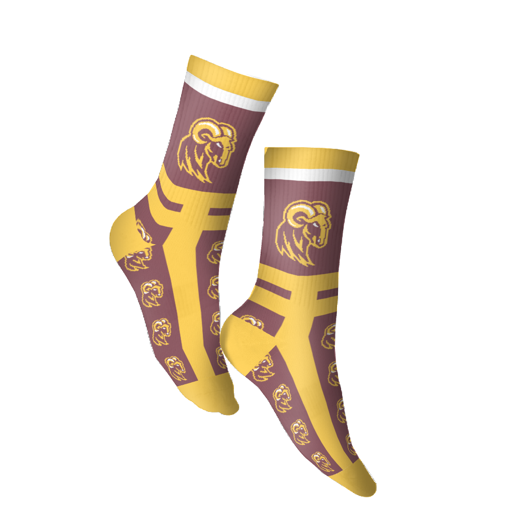 Huston-Tillotson University Athletics socks 3