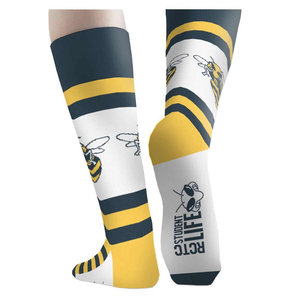 Rochester Community and Technical College socks 4