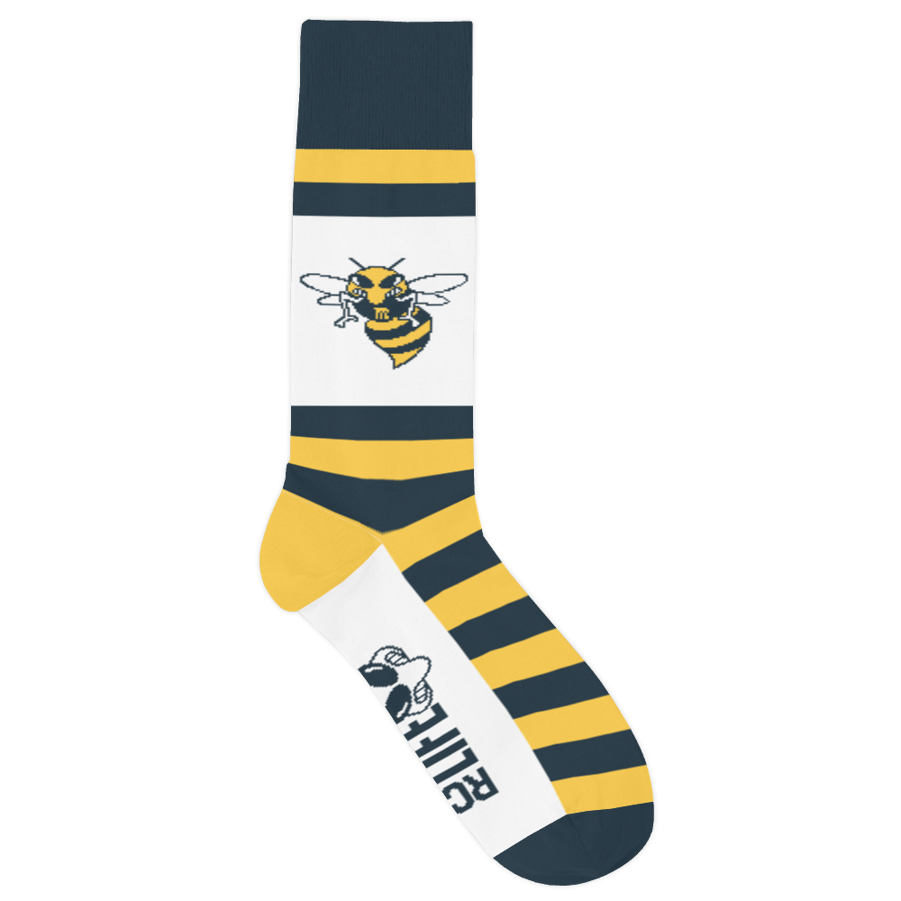 Rochester Community and Technical College socks 1