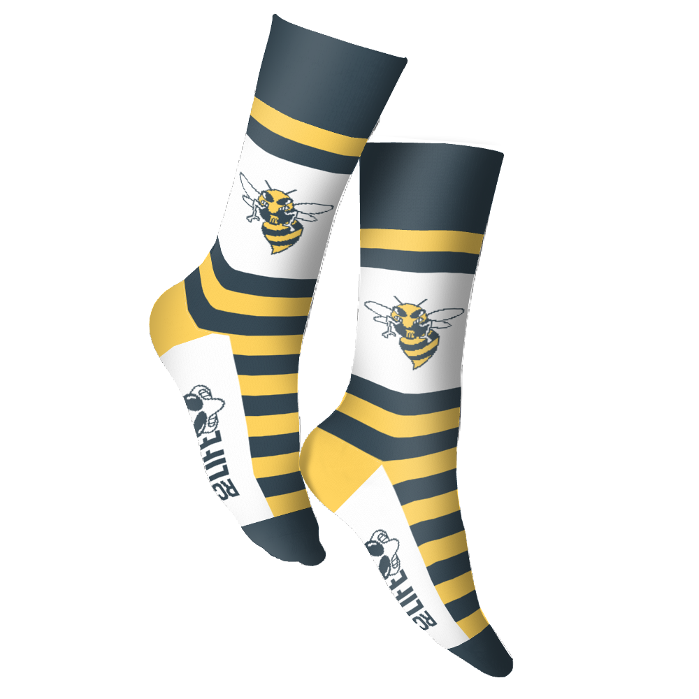 Rochester Community and Technical College socks 3