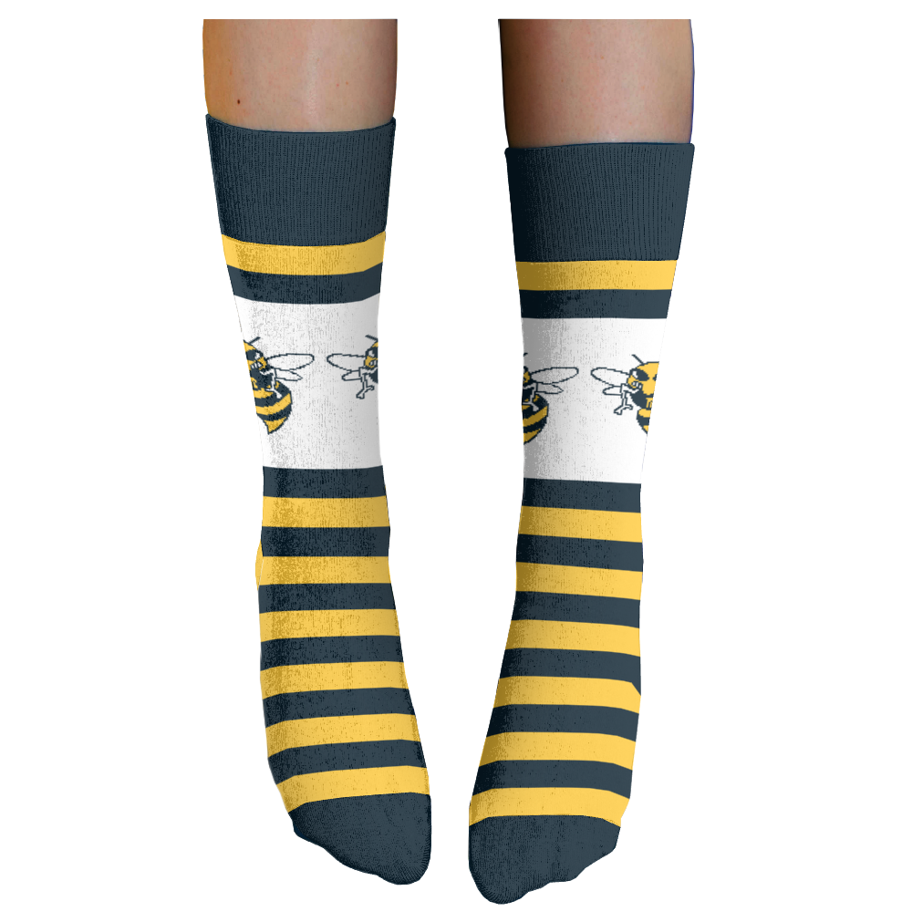 Rochester Community and Technical College socks 2