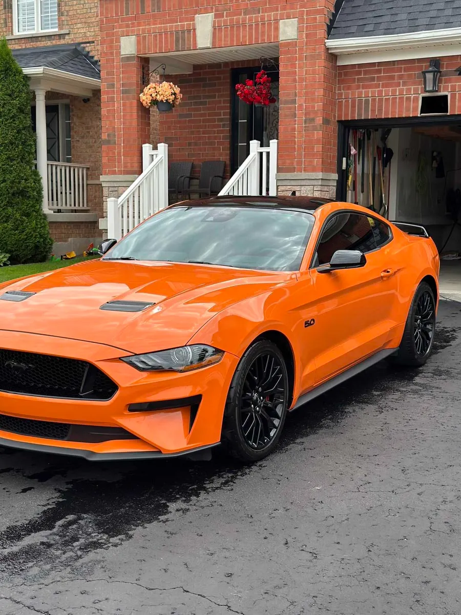 Car Detailing Sylvan Lake & Red Deer 1 Rated Auto Detailing Service