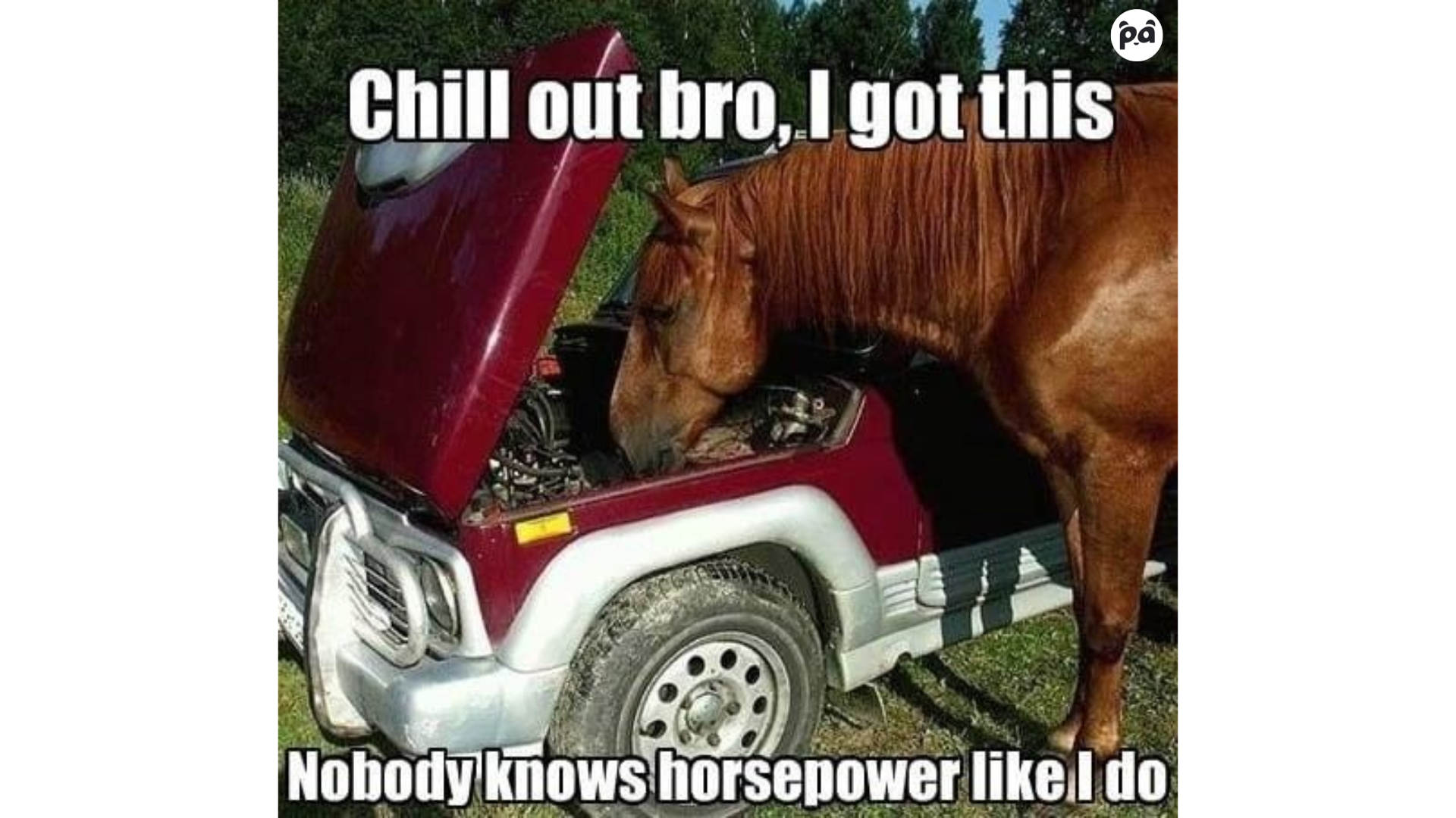 Panda Hub’s Online Dyno | Panda Hub