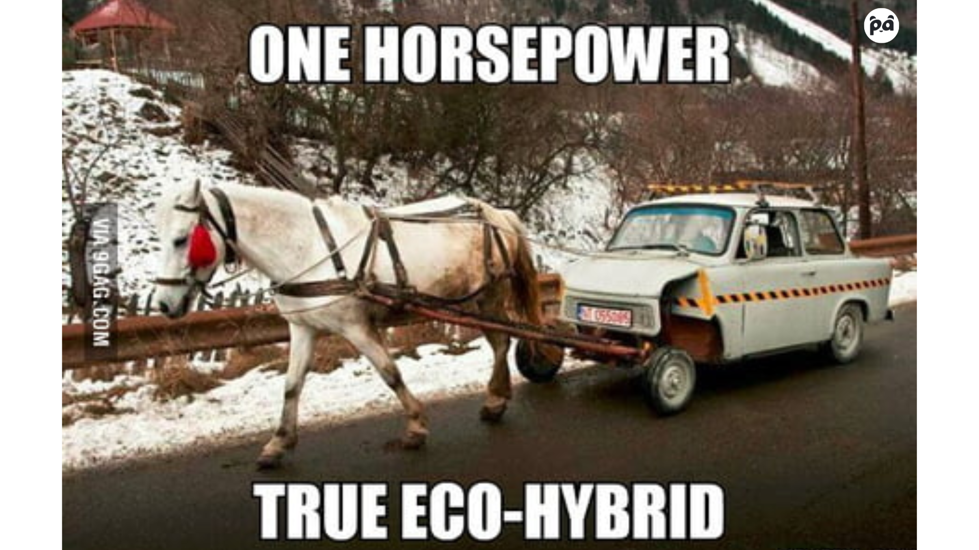 Panda Hub’s Online Dyno | Panda Hub