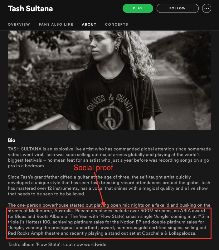 Comment rédiger une biographie musicale