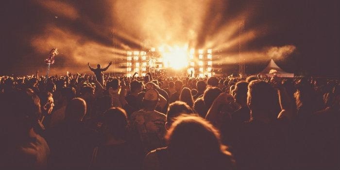 Meet the Band Managers: A Guide to Music Management - crowd at a concert 