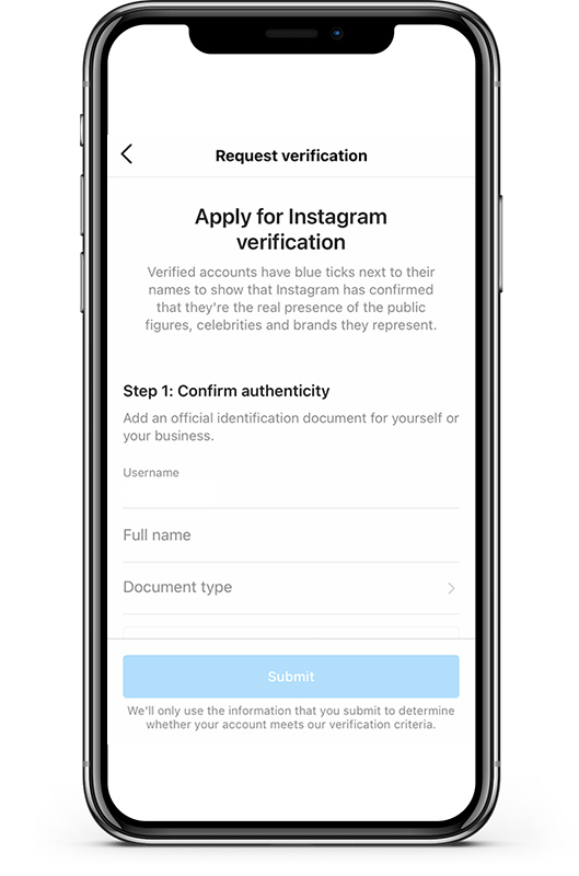 How to Get Verified on Instagram as a Musician