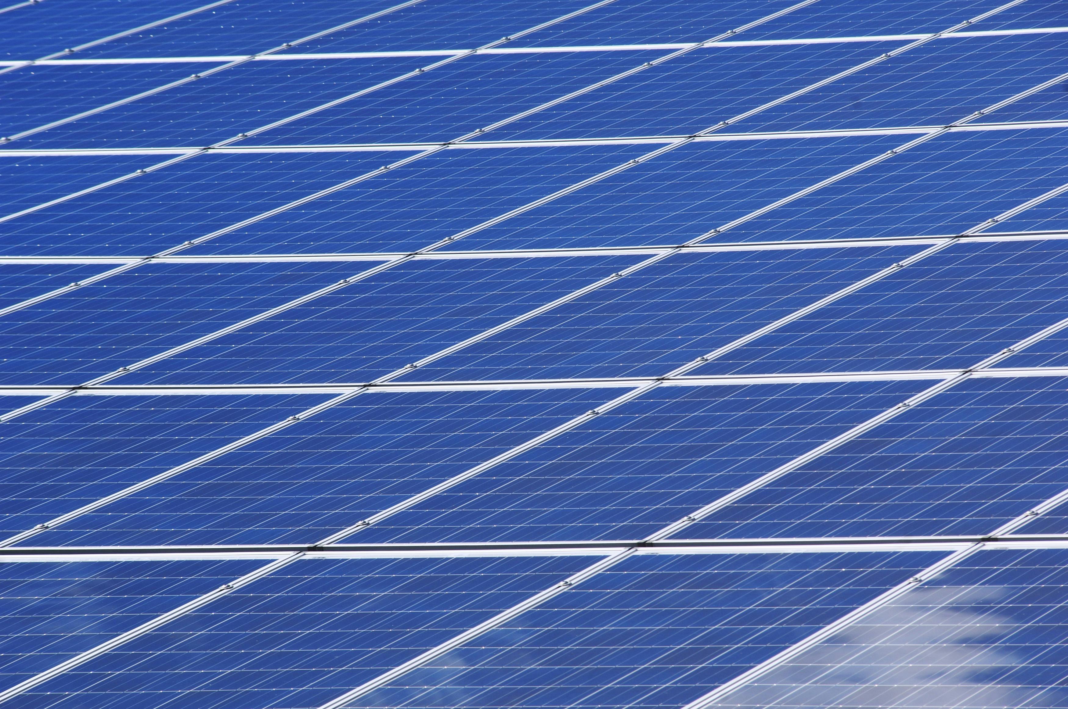 Amazon nutzt KI-Roboter Maximo für effizienteren Solarparkbau