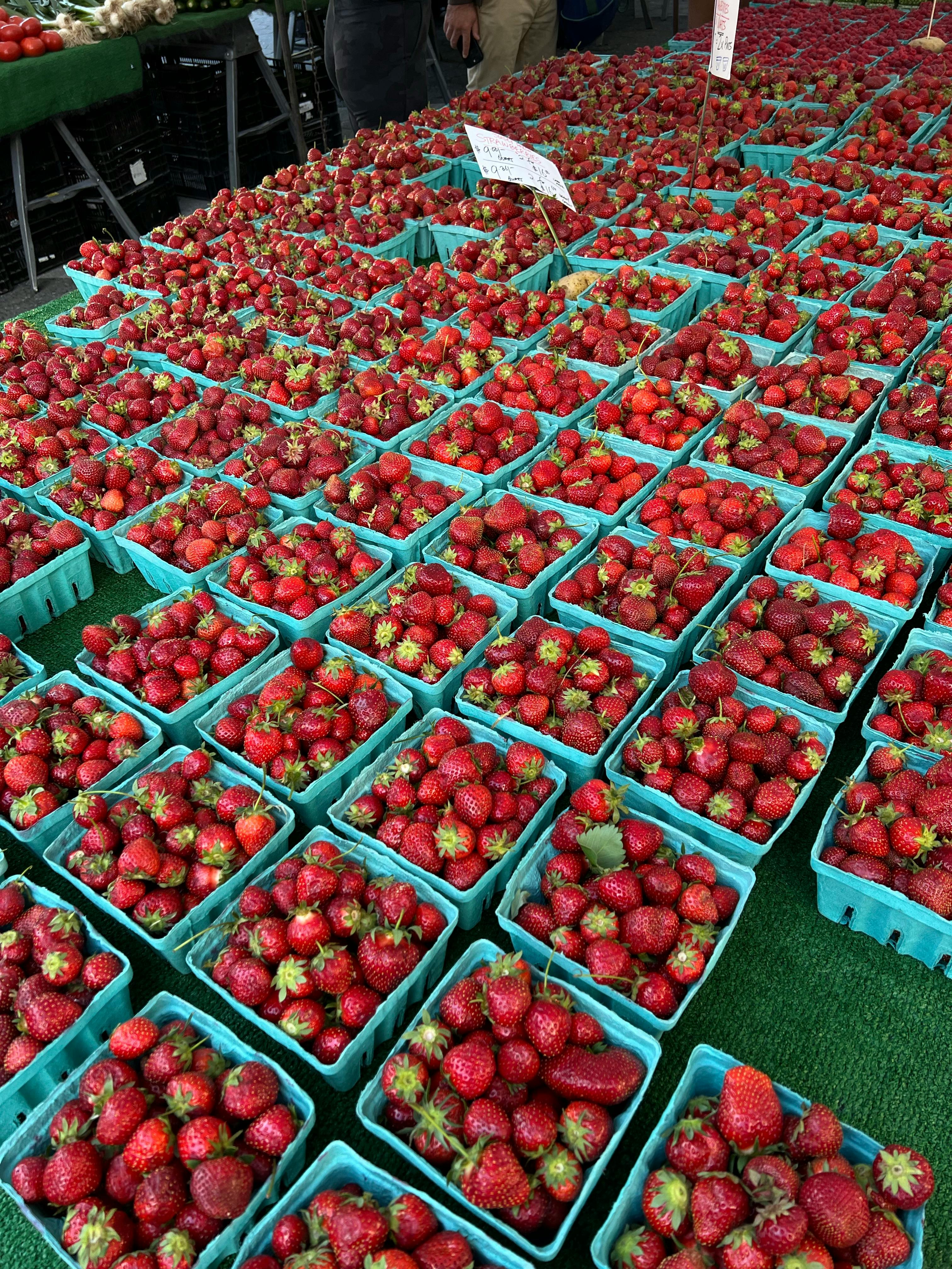 FruitNeRF Revolutioniert die Fruchtzählung in der Landwirtschaft