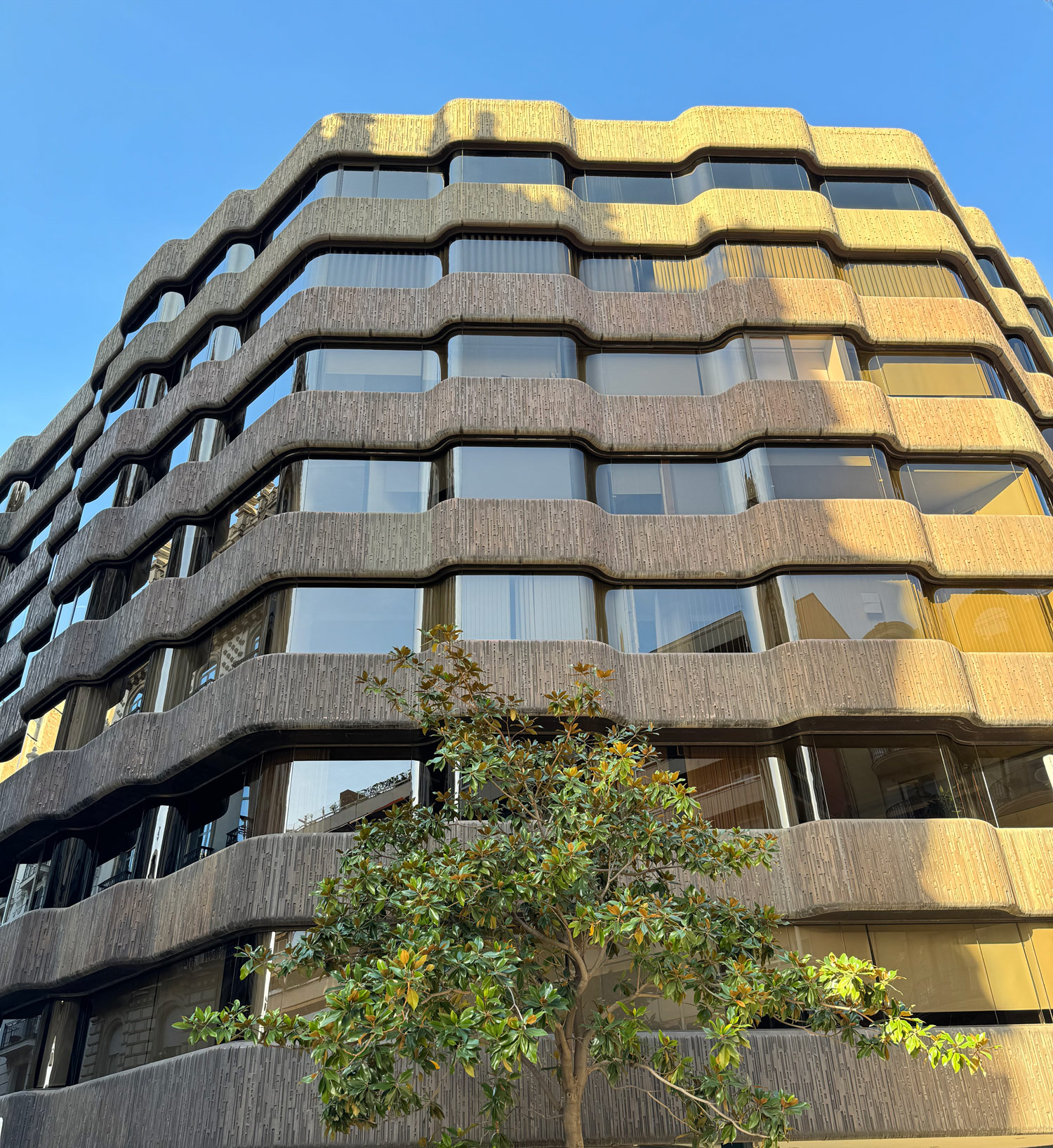 Differences Between a Natural Person and a Legal Entity