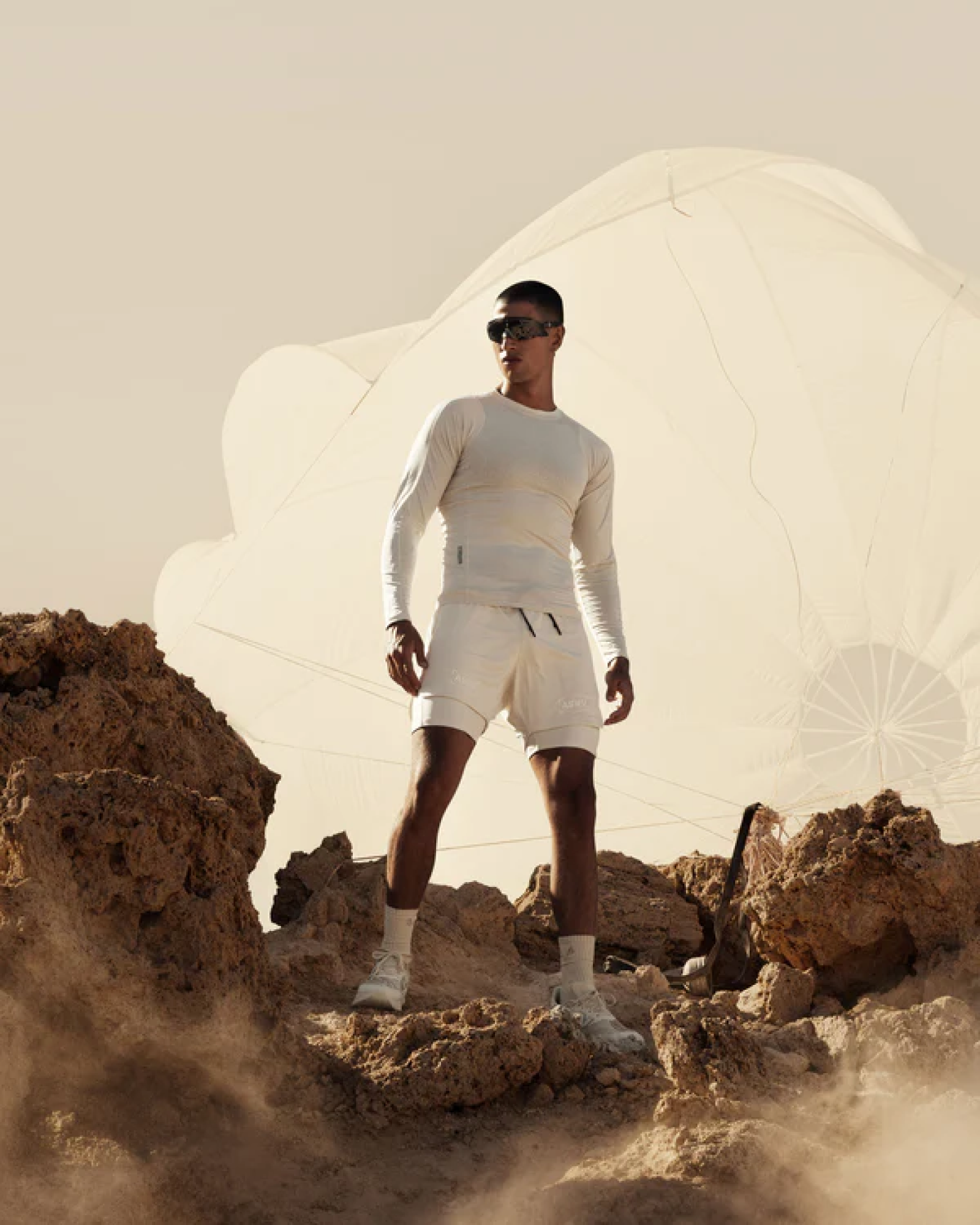 ASRV - Image 2