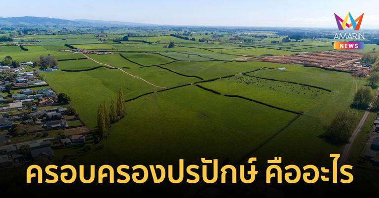 ครอบครองปรปักษ์ คืออะไร เปิด 4 แนวทางเบื้องต้น ป้องกันก่อนเสียทรัพย์