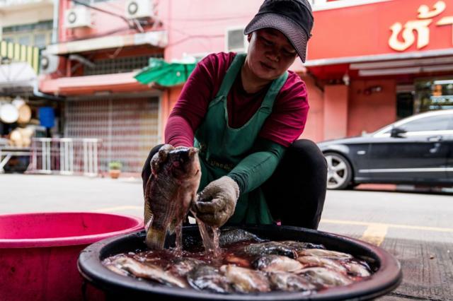 BANGKOK, THAILAND - 2023/07/17: A vendor washes fish at a wet market in Phra Khanong Bangkok.