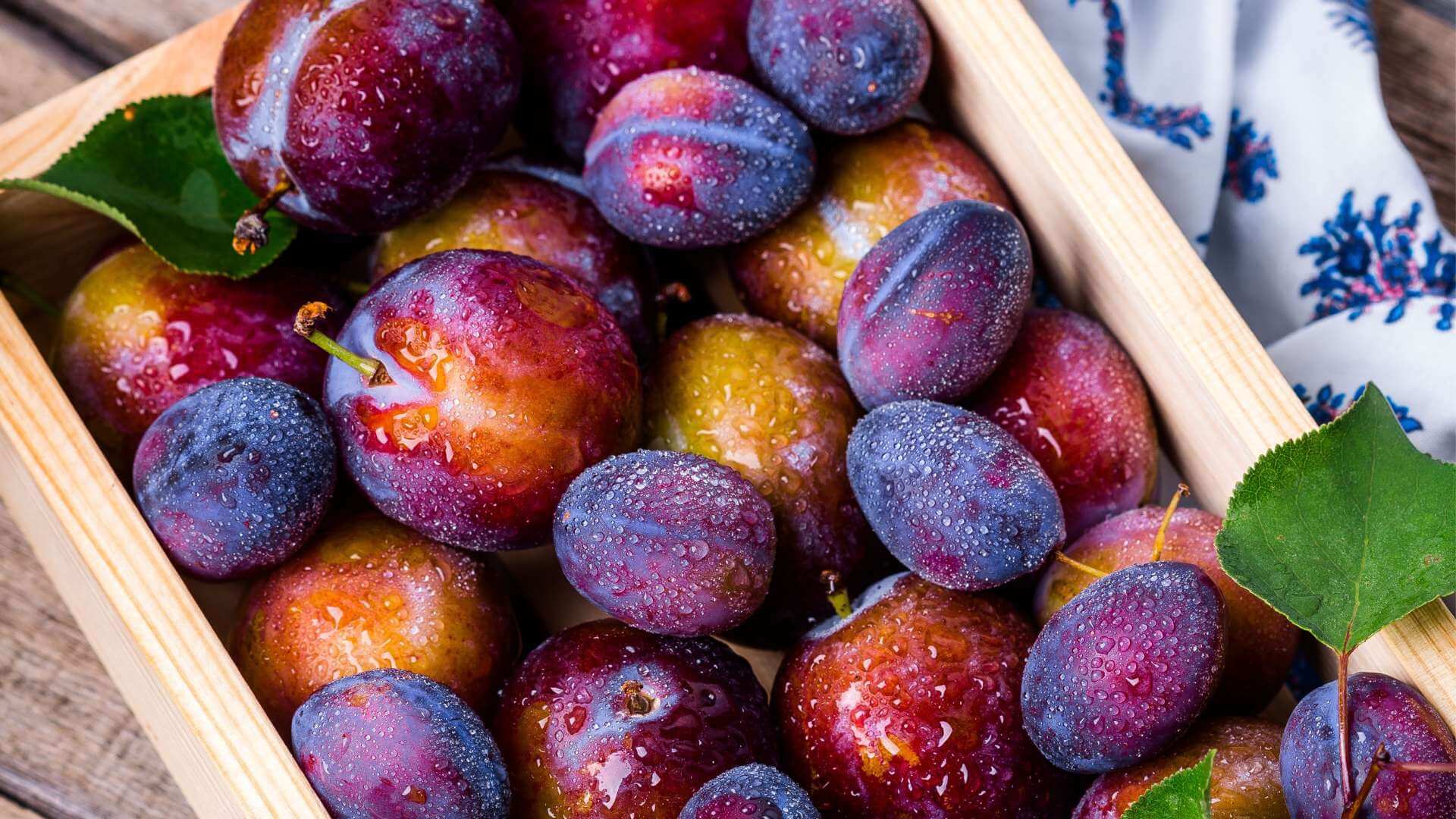 Plum
