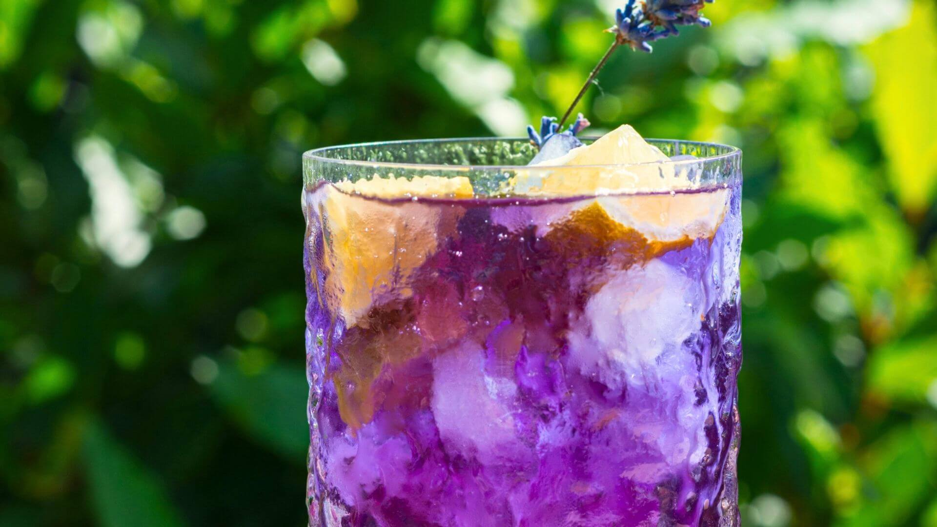 Blue Lavender Lemonade