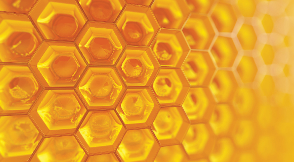 Digital asset trusts in practice
