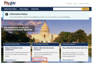 Pay gov screen