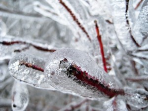 images15