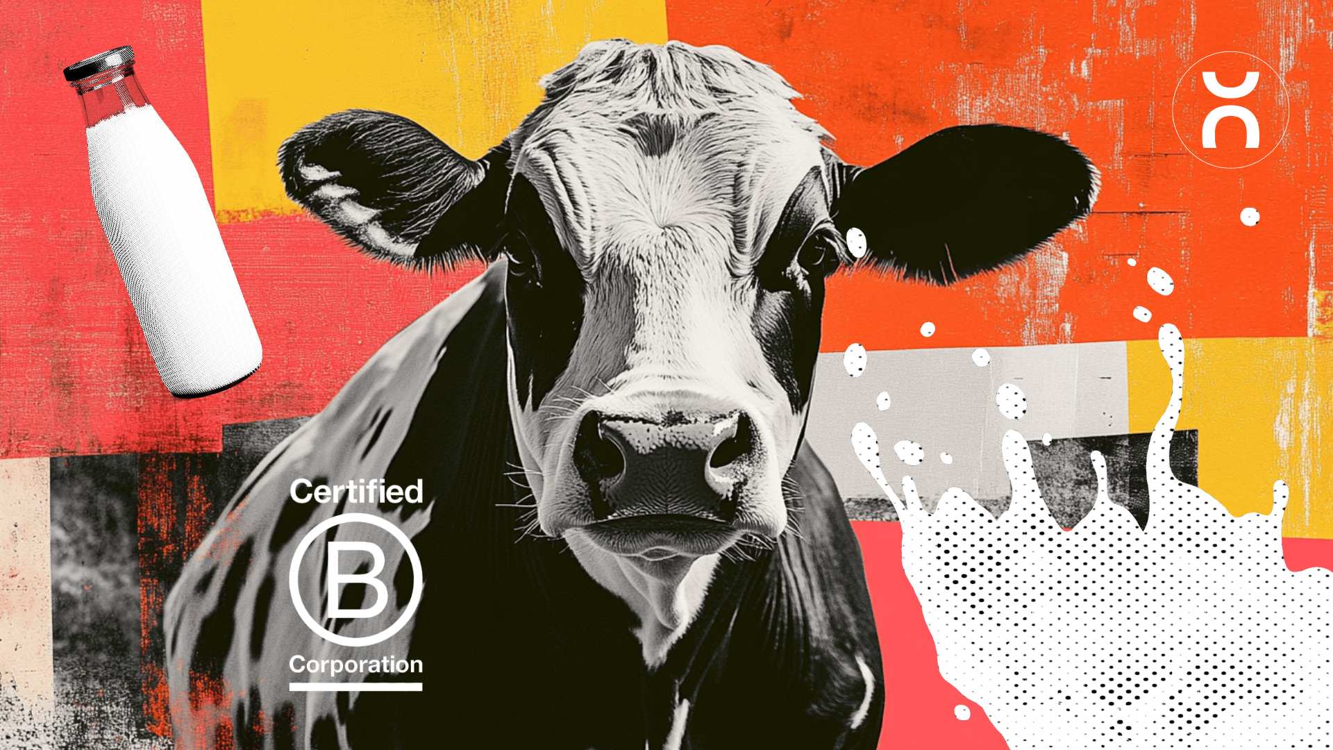 Sustainability Paradox: How Can a Dairy Farm Be a B Corp?