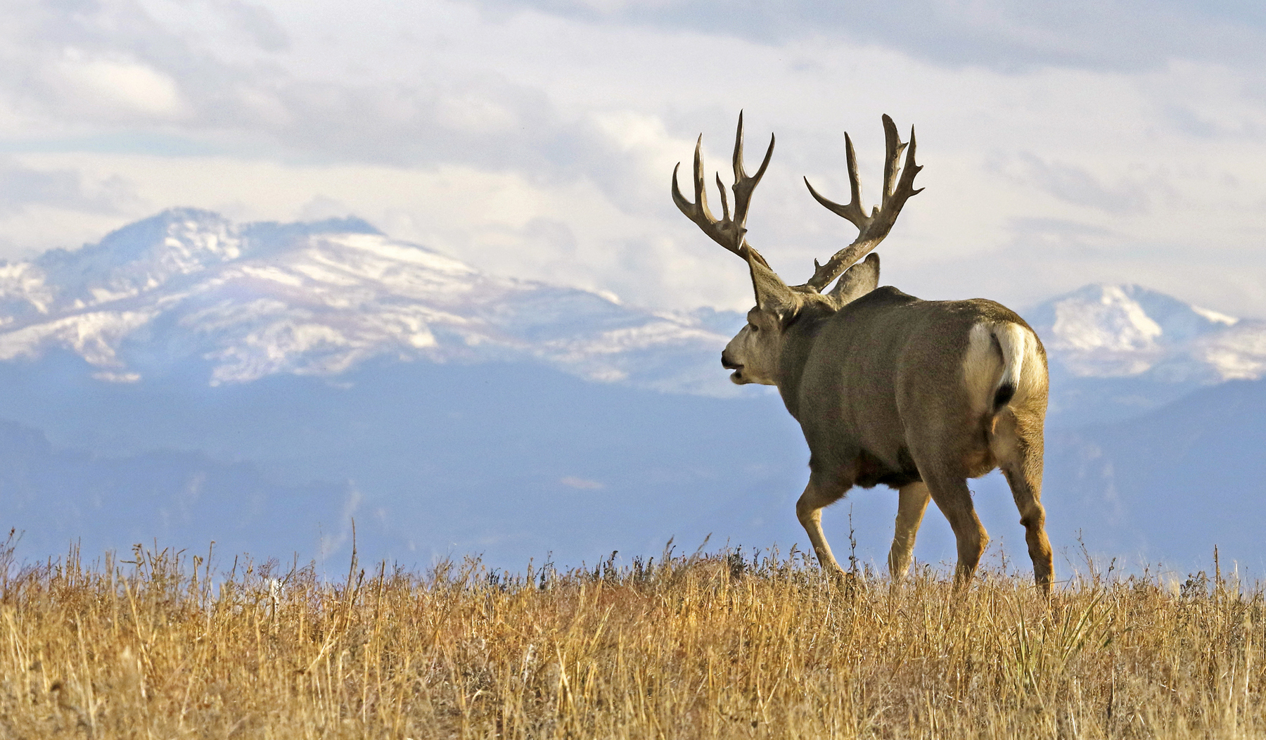 When Does Hunting Season Start In Montana?
