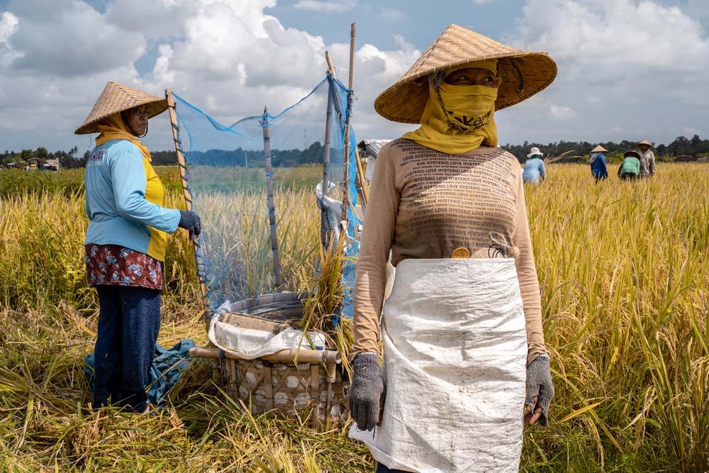 Lost (in) Paradise – 8