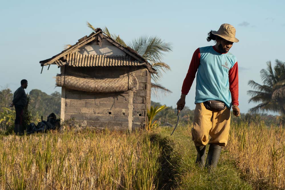 Lost (in) Paradise – 9