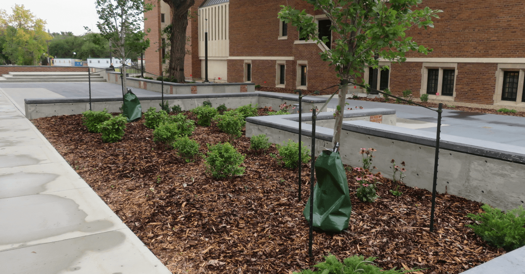 COLLEGE AVENUE CAMPUS PLAZA — image 1